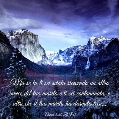 Picture 03 - Numeri 5:20 RIV - Ma se tu ti sei sviata ricevendo un altro invece - Bible Verse Picture