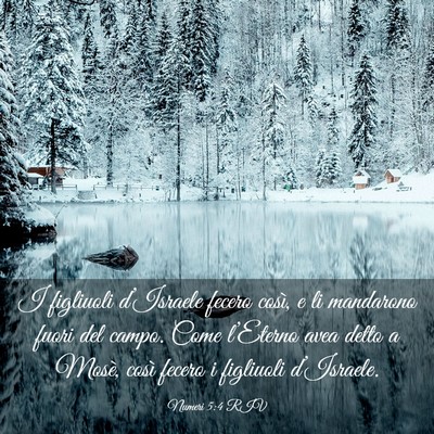 Picture 03 - Numeri 5:4 RIV - I figliuoli d’Israele fecero così, e li - Bible Verse Picture