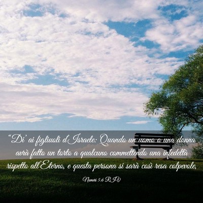 Picture 03 - Numeri 5:6 RIV - “Di’ ai figliuoli d’Israele: Quando un uomo - Bible Verse Picture