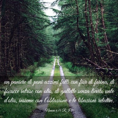 Picture 03 - Numeri 6:15 RIV - un paniere di pani azzimi fatti con fior di - Bible Verse Picture
