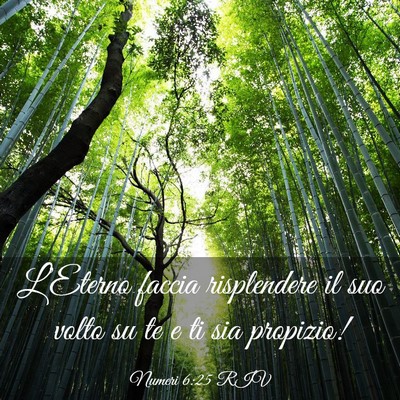 Picture 03 - Numeri 6:25 RIV - L’Eterno faccia risplendere il suo volto su te - Bible Verse Picture