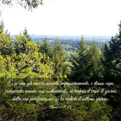 Picture 03 - Numeri 6:9 RIV - E se uno gli muore accanto improvvisamente, e il - Bible Verse Picture