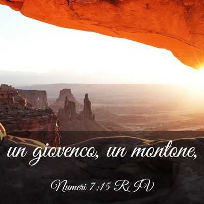 Picture 03 - Numeri 7:15 RIV - un giovenco, un - Bible Verse Picture