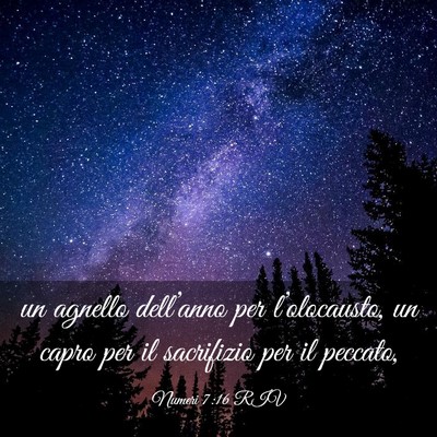 Picture 03 - Numeri 7:16 RIV - un agnello dell’anno per l’olocausto, un - Bible Verse Picture