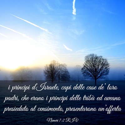 Picture 03 - Numeri 7:2 RIV - i principi d’Israele, capi delle case de’ - Bible Verse Picture