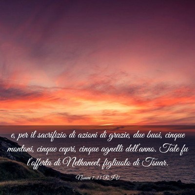 Picture 03 - Numeri 7:23 RIV - e, per il sacrifizio di azioni di grazie, due - Bible Verse Picture