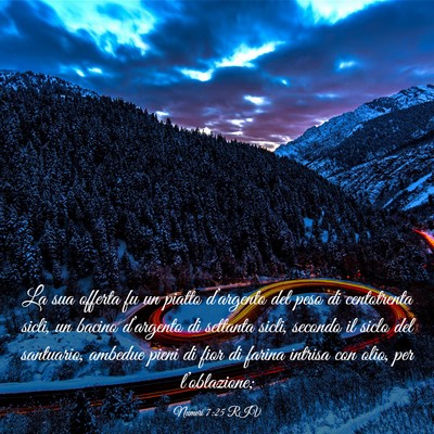 Picture 03 - Numeri 7:25 RIV - La sua offerta fu un piatto d’argento del peso - Bible Verse Picture