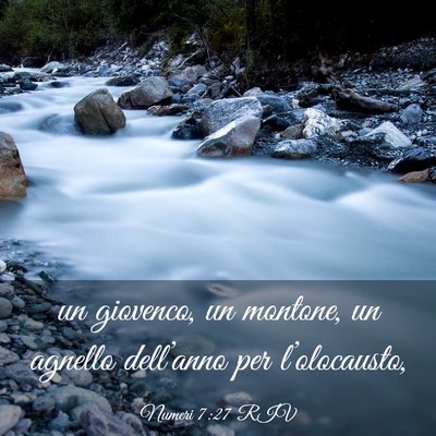 Picture 03 - Numeri 7:27 RIV - un giovenco, un montone, un agnello dell’anno - Bible Verse Picture