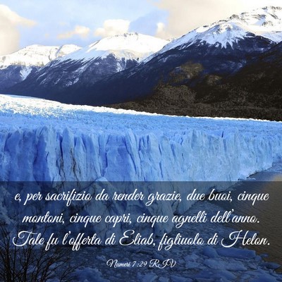 Picture 03 - Numeri 7:29 RIV - e, per sacrifizio da render grazie, due buoi, - Bible Verse Picture