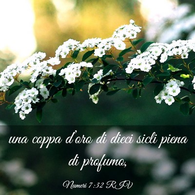 Picture 03 - Numeri 7:32 RIV - una coppa d’oro di dieci sicli piena di - Bible Verse Picture