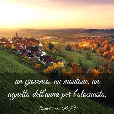 Picture 03 - Numeri 7:33 RIV - un giovenco, un montone, un agnello dell’anno - Bible Verse Picture