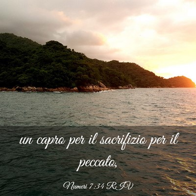 Picture 03 - Numeri 7:34 RIV - un capro per il sacrifizio per il - Bible Verse Picture