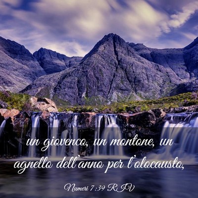 Picture 03 - Numeri 7:39 RIV - un giovenco, un montone, un agnello dell’anno - Bible Verse Picture