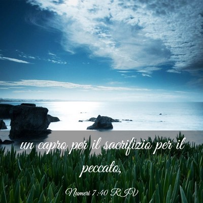 Picture 03 - Numeri 7:40 RIV - un capro per il sacrifizio per il - Bible Verse Picture