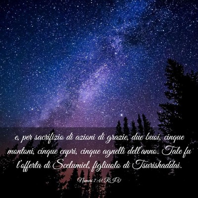 Picture 03 - Numeri 7:41 RIV - e, per sacrifizio di azioni di grazie, due buoi, - Bible Verse Picture