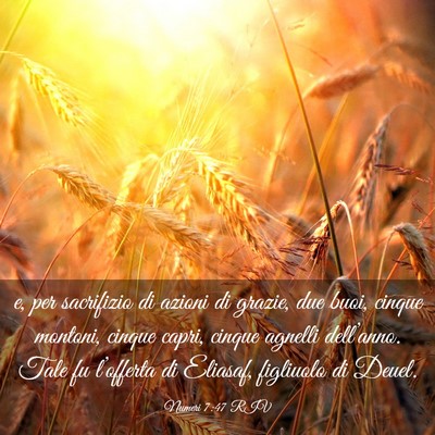 Picture 03 - Numeri 7:47 RIV - e, per sacrifizio di azioni di grazie, due buoi, - Bible Verse Picture