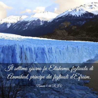 Picture 03 - Numeri 7:48 RIV - Il settimo giorno fu Elishama, figliuolo di - Bible Verse Picture