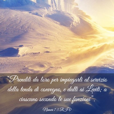 Picture 03 - Numeri 7:5 RIV - “Prendili da loro per impiegarli al servizio - Bible Verse Picture