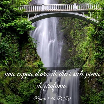 Picture 03 - Numeri 7:50 RIV - una coppa d’oro di dieci sicli piena di - Bible Verse Picture