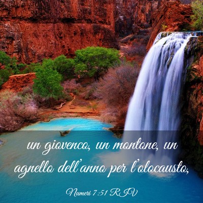 Picture 03 - Numeri 7:51 RIV - un giovenco, un montone, un agnello dell’anno - Bible Verse Picture