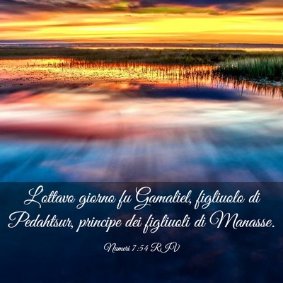 Picture 03 - Numeri 7:54 RIV - L’ottavo giorno fu Gamaliel, figliuolo di - Bible Verse Picture