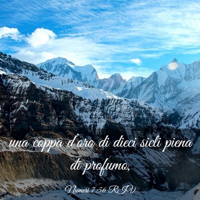 Picture 03 - Numeri 7:56 RIV - una coppa d’oro di dieci sicli piena di - Bible Verse Picture
