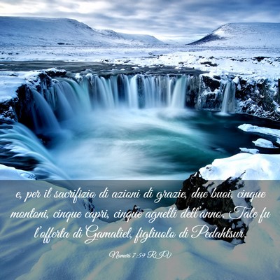 Picture 03 - Numeri 7:59 RIV - e, per il sacrifizio di azioni di grazie, due - Bible Verse Picture
