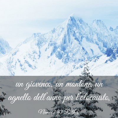Picture 03 - Numeri 7:63 RIV - un giovenco, un montone, un agnello dell’anno - Bible Verse Picture