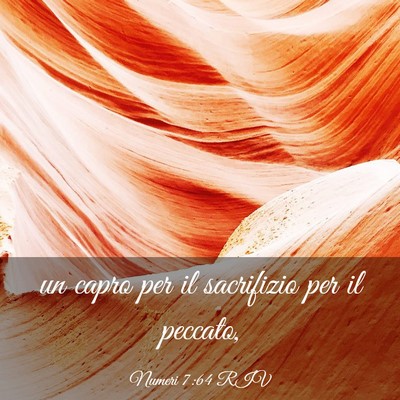 Picture 03 - Numeri 7:64 RIV - un capro per il sacrifizio per il - Bible Verse Picture