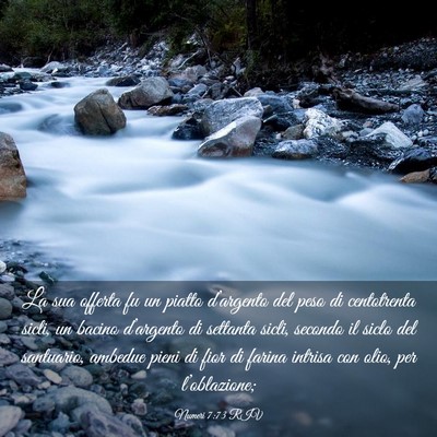 Picture 03 - Numeri 7:73 RIV - La sua offerta fu un piatto d’argento del peso - Bible Verse Picture