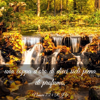 Picture 03 - Numeri 7:74 RIV - una coppa d’oro di dieci sicli piena di - Bible Verse Picture