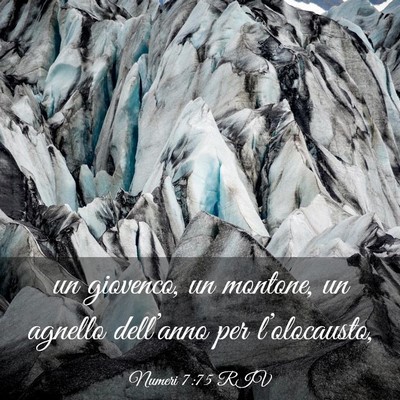Picture 03 - Numeri 7:75 RIV - un giovenco, un montone, un agnello dell’anno - Bible Verse Picture