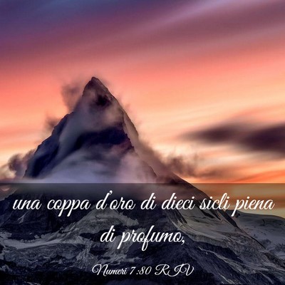 Picture 03 - Numeri 7:80 RIV - una coppa d’oro di dieci sicli piena di - Bible Verse Picture