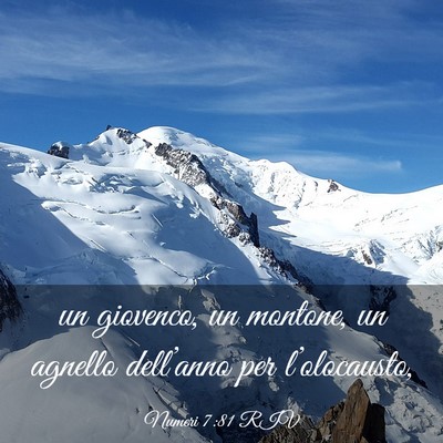 Picture 03 - Numeri 7:81 RIV - un giovenco, un montone, un agnello dell’anno - Bible Verse Picture
