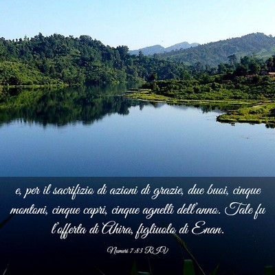 Picture 03 - Numeri 7:83 RIV - e, per il sacrifizio di azioni di grazie, due - Bible Verse Picture