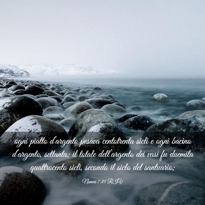 Picture 03 - Numeri 7:85 RIV - ogni piatto d’argento pesava centotrenta sicli - Bible Verse Picture