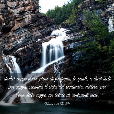 Picture 03 - Numeri 7:86 RIV - dodici coppe d’oro piene di profumo, le quali, - Bible Verse Picture