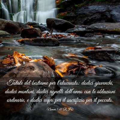 Picture 03 - Numeri 7:87 RIV - Totale del bestiame per l’olocausto: dodici - Bible Verse Picture