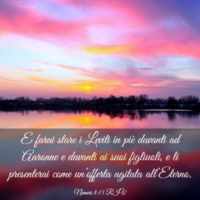 Picture 03 - Numeri 8:13 RIV - E farai stare i Leviti in piè davanti ad Aaronne - Bible Verse Picture