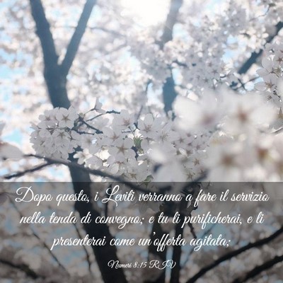 Picture 03 - Numeri 8:15 RIV - Dopo questo, i Leviti verranno a fare il servizio - Bible Verse Picture