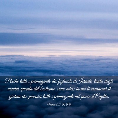 Picture 03 - Numeri 8:17 RIV - Poiché tutti i primogeniti dei figliuoli - Bible Verse Picture