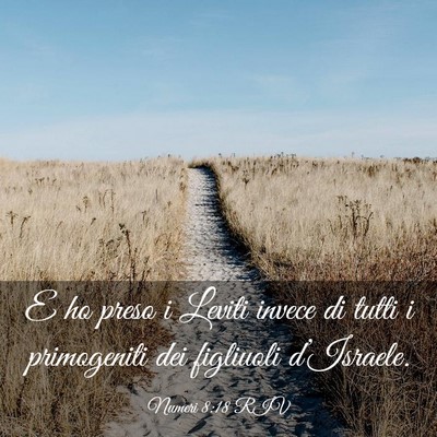 Picture 03 - Numeri 8:18 RIV - E ho preso i Leviti invece di tutti i primogeniti - Bible Verse Picture