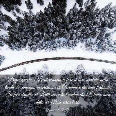 Picture 03 - Numeri 8:22 RIV - Dopo questo, i Leviti vennero a fare il loro - Bible Verse Picture
