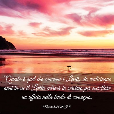 Picture 03 - Numeri 8:24 RIV - “Questo è quel che concerne i Leviti: da - Bible Verse Picture