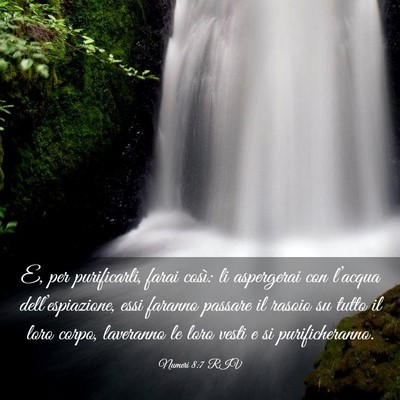 Picture 03 - Numeri 8:7 RIV - E, per purificarli, farai così: li aspergerai - Bible Verse Picture