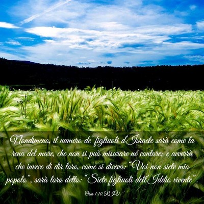 Picture 03 - Osea 1:10 RIV - Nondimeno, il numero de’ figliuoli d’Israele - Bible Verse Picture