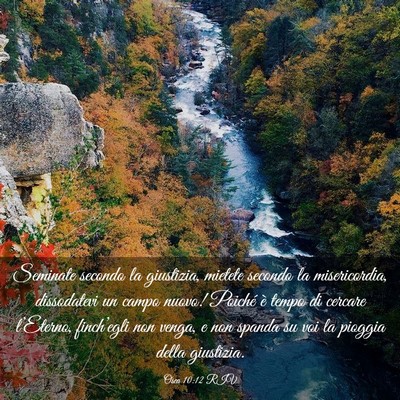 Picture 03 - Osea 10:12 RIV - Seminate secondo la giustizia, mietete secondo la - Bible Verse Picture