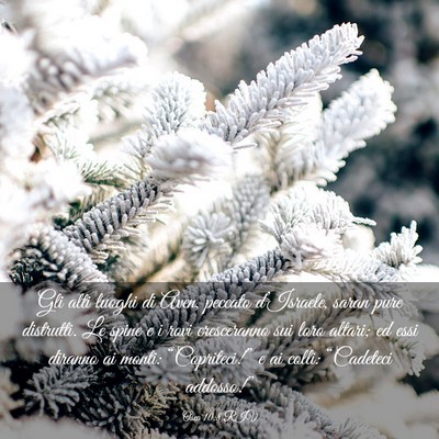 Picture 03 - Osea 10:8 RIV - Gli alti luoghi di Aven, peccato d’Israele, - Bible Verse Picture
