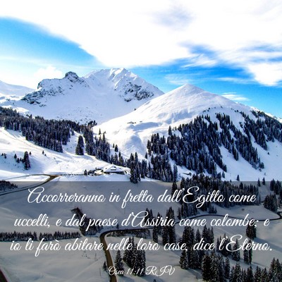 Picture 03 - Osea 11:11 RIV - Accorreranno in fretta dall’Egitto come - Bible Verse Picture