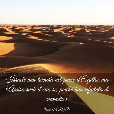 Picture 03 - Osea 11:5 RIV - Israele non tornerà nel paese d’Egitto; ma - Bible Verse Picture